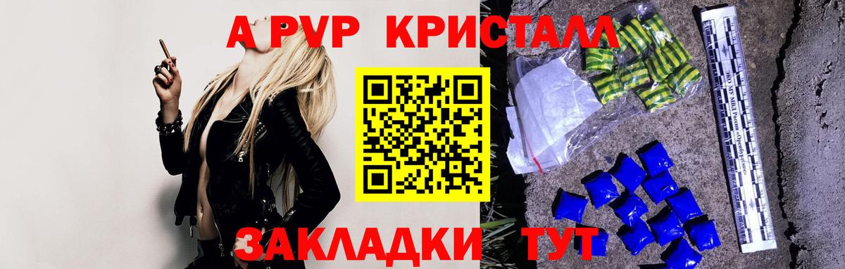 Alfa_PVP СК Владикавказ
