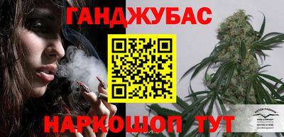 шишки Аргун