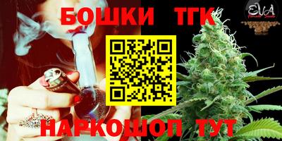 шишки Аргун