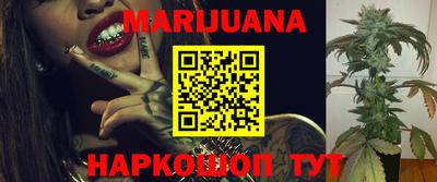 шишки Аргун