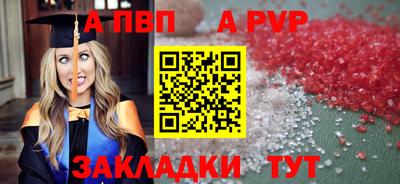 шишки Аргун